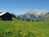 Poľany nad dedinkou Werfenweng