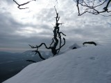 Zima v Malých Karpatoch, Roštún a okolie