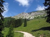 Chvíľa nepozornosti a stratili sme značku. Sme leniví stratiť vystúpané metre a tak šľapeme "rovno hore". Táto pekná cesta nás nakoniec dovedie nazad na značku.