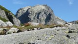 Široká Veža (2461,5 m.n.m.), pekne narástla