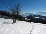 Na juhovychode sa vypina majestatny Schneeberg