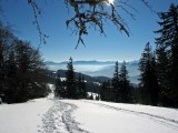 Zimný Muckenkogel (1248m) - Gutensteiner Alpen