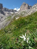 Th_dolomity286