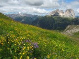 a celkom vľavo skupina Rosengarten