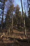 cesta nemilosrdne stupa-stupa-klesa-stupa