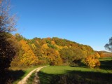 Silická planina