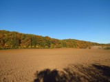 Silická planina