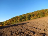 Silická planina