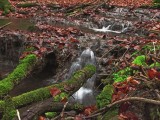 Silická planina