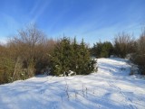 Silická planina