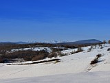 Silická planina