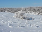 Silická planina