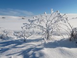 Silická planina