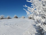 Silická planina