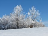 Silická planina