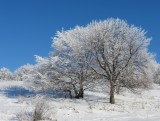 Silická planina