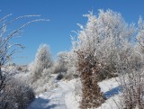 Silická planina