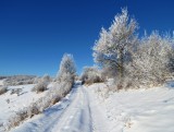 Silická planina