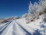 Silická planina