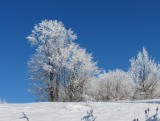 Silická planina