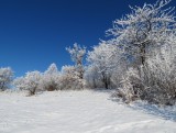 Silická planina