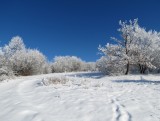 Silická planina