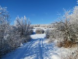 Silická planina