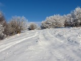 Silická planina