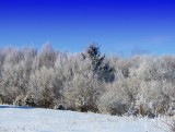 Silická planina