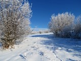 Silická planina