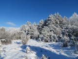 Silická planina