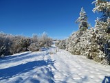 Silická planina