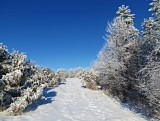 Silická planina