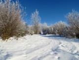 Silická planina