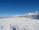 Silická planina