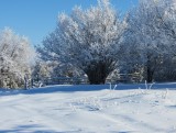 Silická planina