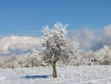 Silická planina