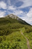 Sivý vrch od turistického chodníka pod Ostrou