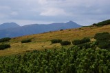 Na západe už vidno Západné Tatry