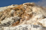 Travertínové terasy Mammoth Hot Springs