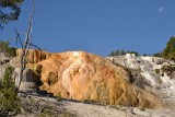 Travertínové terasy Mammoth Hot Springs