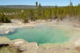 Norris Geyser Basin