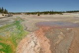 Norris Geyser Basin