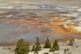 Norris Geyser Basin