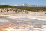 Norris Geyser Basin