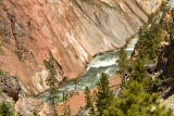 Rieka Yellowstone