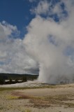 Gejzír Starý verný, Old Faithful