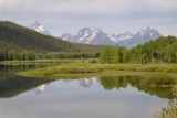 Oxbow Bend na rieke Snake River