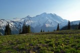 Dožičíme si západ slnka pri návštevníckom centre Sunrise, najvyšsí bod, kam sa v národnom parku Mt. Rainier dá dostať autom.