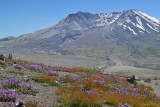 Th_1044_mt_saint_helens